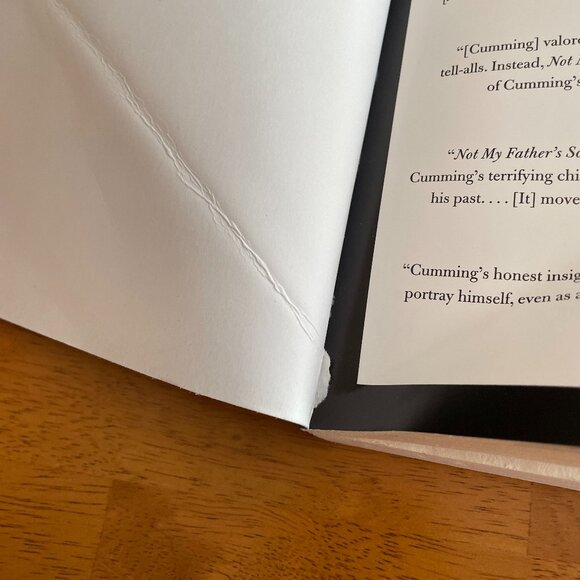 Not My Father's Son: A Memoir by Alan Cumming - Picture 4 of 10